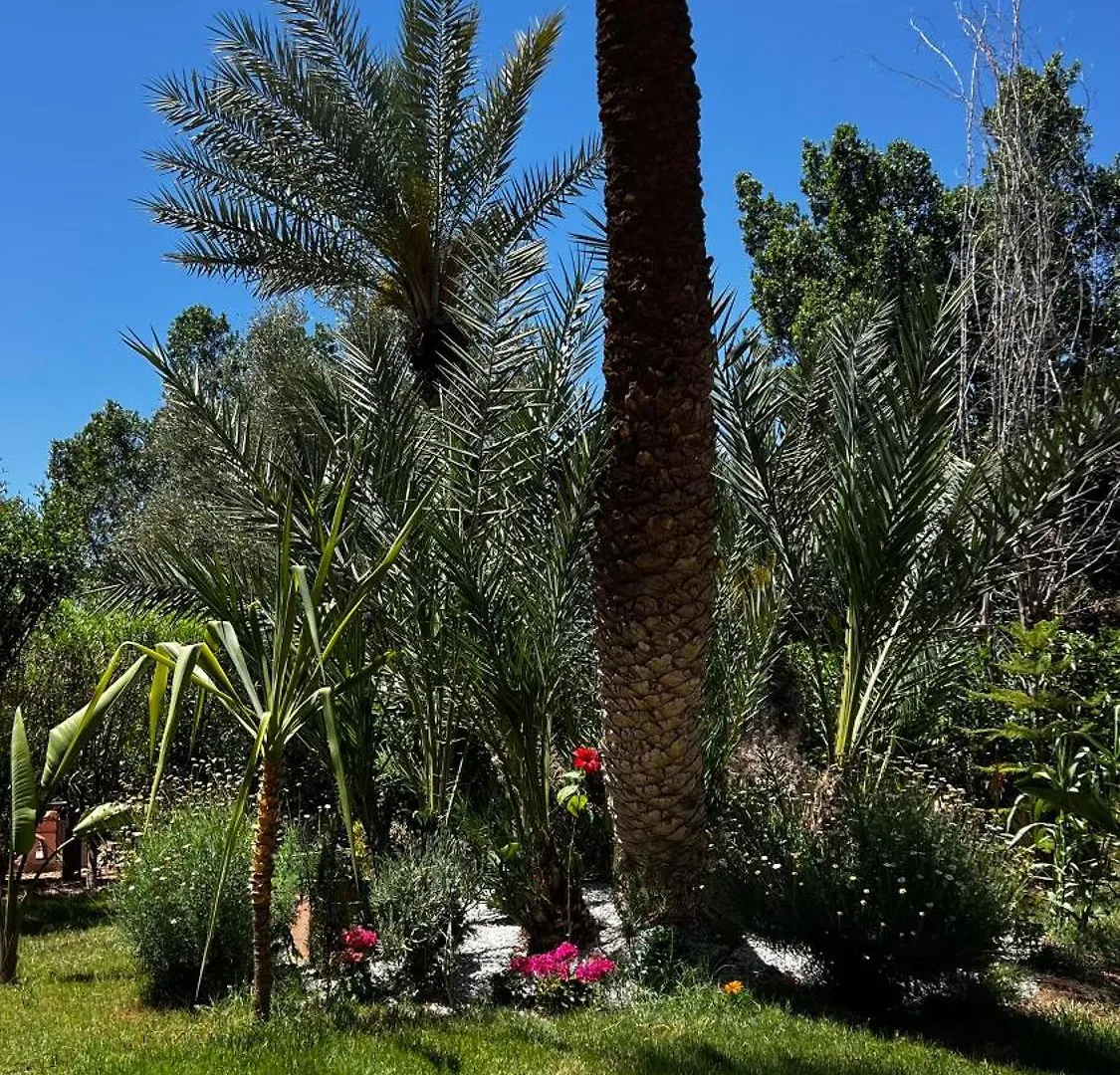 Apartment Tres Joli Appart A La Palmeraie Coup De Coeur Marrakesh